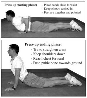 Press Ups for your back
