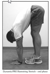 Dynamic/PRI Hamstring Stretch -  ending phase