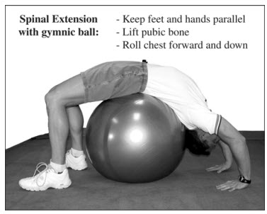Spinal Extention