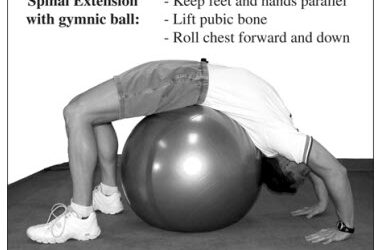 Spinal Extention